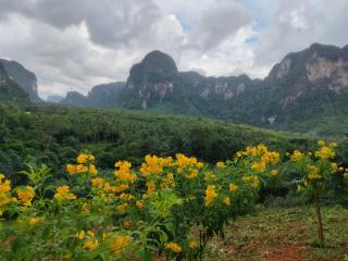 7 heaven resort at krabi เซเว่น เฮฟเว่น รีสอร์ท แอท กระบี่ - 5