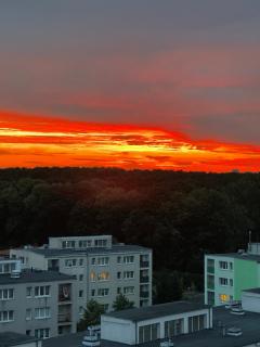 Pokój przy Rondzie Daszyńskiego - 4