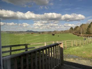 Satchells Cottage - Melrose - 4
