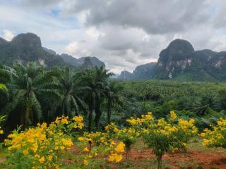 7 heaven resort at krabi เซเว่น เฮฟเว่น รีสอร์ท แอท กระบี่ - 1