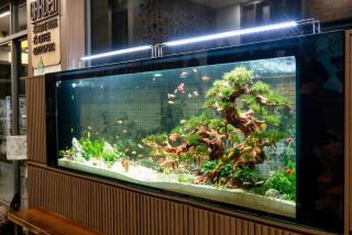 T's Garden hotel - - 4