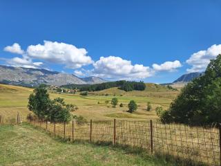 Horizont Cemerno - 1