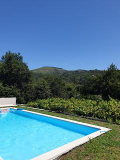 Quinta da Vinha Velha - 9