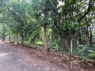 Aakash Bungalow-EcoFriendlyTourism - 3