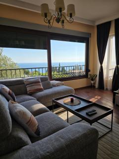 Vista Blue Villa - 8