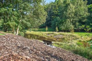 Naturperle midt i skoven, ved sø og eng - Vejle - 6