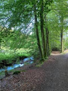 Naturperle midt i skoven, ved sø og eng - Vejle - 5