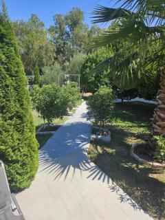 Villa Olive Tree - 1
