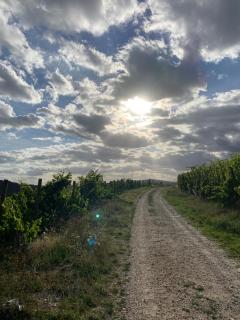 Ferienwohnung Rebennah - modern - Freisitz - Küche - ideal für Monteure - Platten - 1