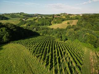 Ruralna kuća za odmor Julijana - 8