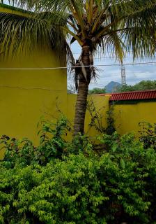 Vedanta HomeStay Pool Garden Arunachala - 8