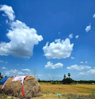 Vedanta HomeStay Pool Garden Arunachala - 3