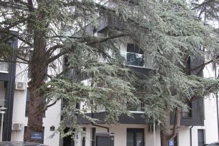 Apartment Ornament Lux B11 - 2