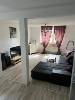 Apartament blisko lotniska z prywatnym ogrodzonym parkingiem - Radom - 3