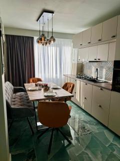 Lugoj Ultracentral Apartment - 5