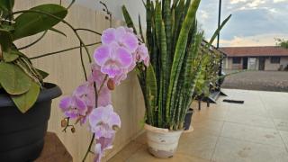 Hotel yhaguy - - 8