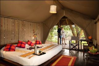 Basecamp Masai Mara - 7