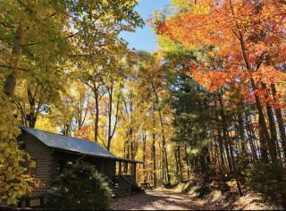 Eagles Nest cabin - 8