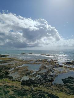 Jeribuca Surf House - Flat Paçuaré - 4