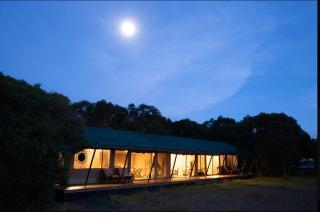 Saruni Wild - Aitong - 8