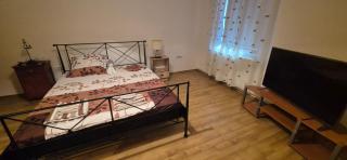 Retro apartament - Arad - 5