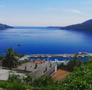 Herceg Novi Guest house - Podgorica - 1