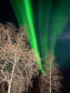 Heggmoen Lodge - Bodø - 8