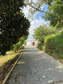 One Bedroom Chalet with private bathroom and kitchen - 1
