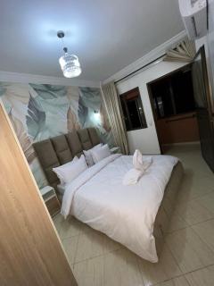 Appartement de luxe 15 mn du centre - 2