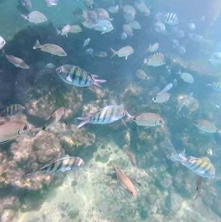 Porto Real Resort - 1