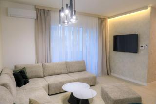 Fancy new 2bdrm ap free garage - 9