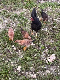 Vacances chez HélèneB - 7