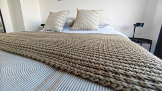 Refugio Bellavista vista al Costanera y los Andes - 2