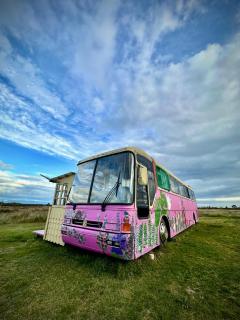 Bus Casa en observatorio de aves - 8