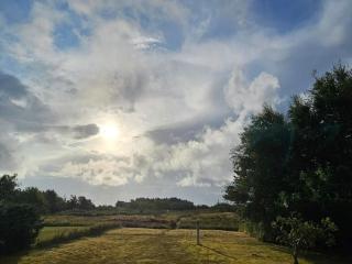 4 star holiday home in Hals-By Traum - 5