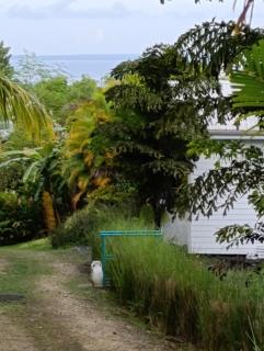 DADI'S LITTLE PARADIS - 7