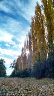 Dpto campestre - 2