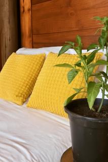 Tiny Huts Camp - Free Massage Hot Tub Sauna Waterfall Nearby - 9