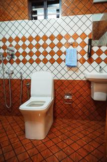 Marari Anandu Beach Villa - 1