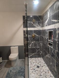 A new spacious walkout base in Castle Rock Colorado - 4