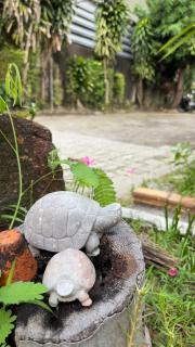 Friends Retreat Phuket - 7