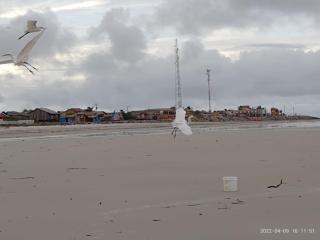 Refúgio dos pires - ajuruteua - 7