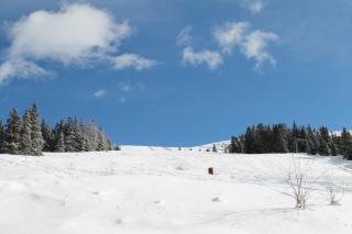 Feriendorf Koralpe Chalet Arnika XL 28 - 7