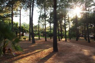 U PINU Appartement 3 chambres - 8