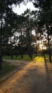 U PINU Appartement 3 chambres - Olmeto - 5