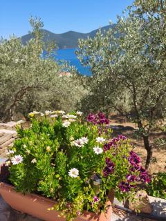 Sea view Goldins house - 7