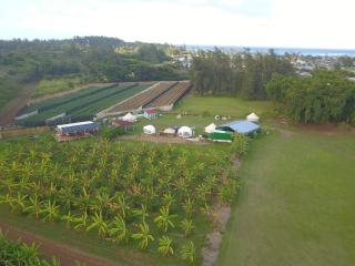 North-Shore Tiny Hales-Oahu, Hawaii - 3