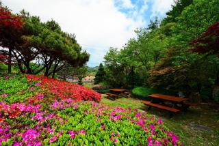 Gangchon Provence Pension - 1