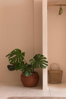 Soul Temple of Surfing - 6