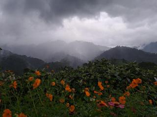 Our Jungle Ecolodge - 1